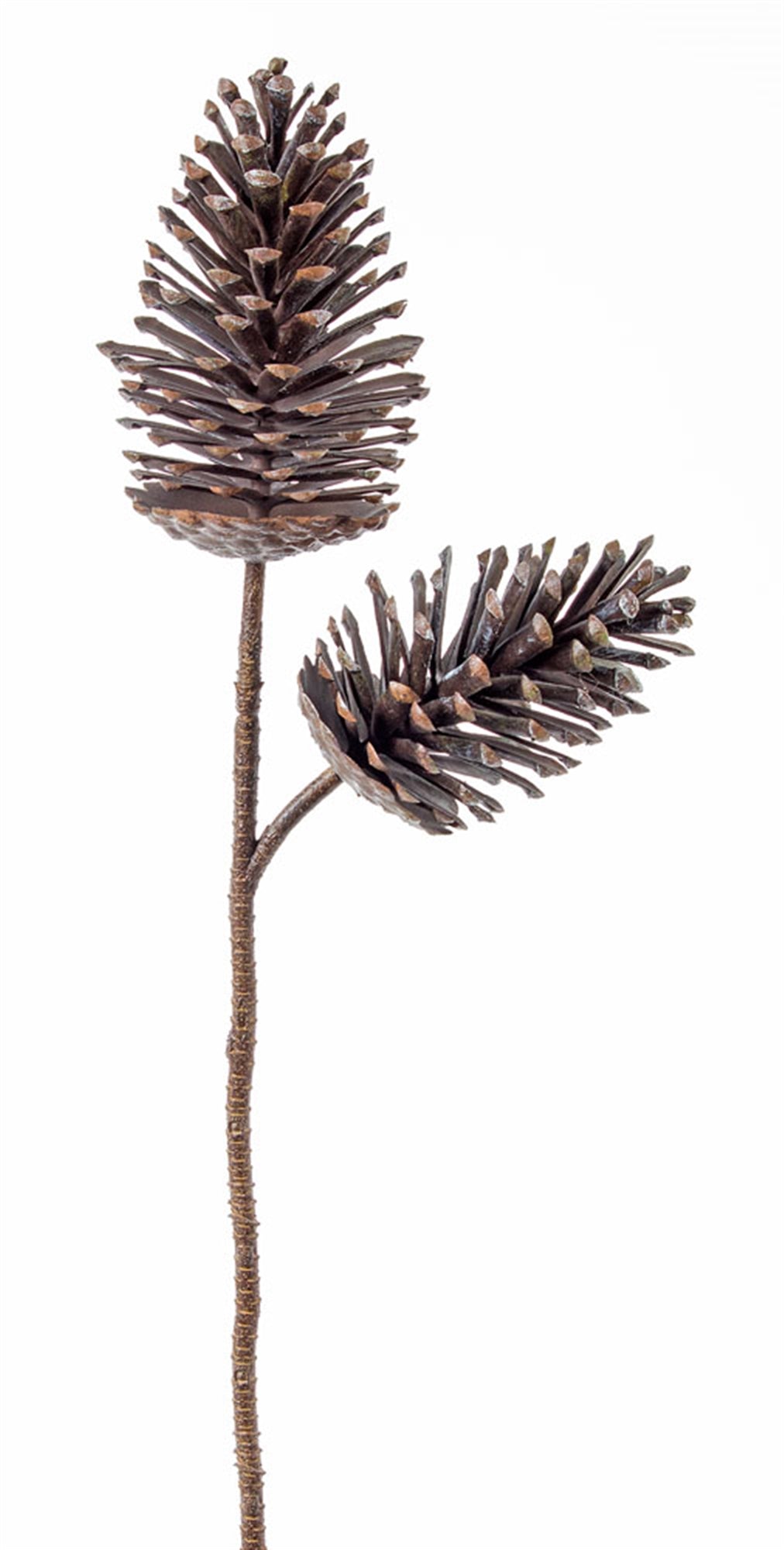 Pinecone Spray