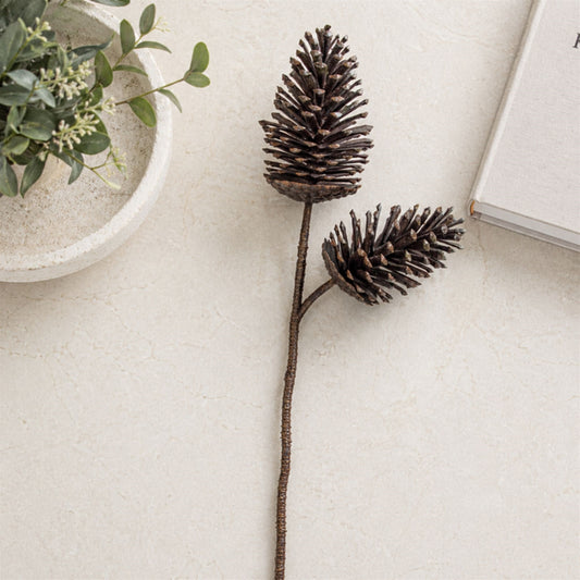 Pinecone Spray