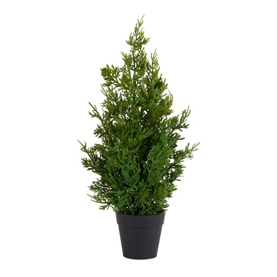 Potted Pine 19in