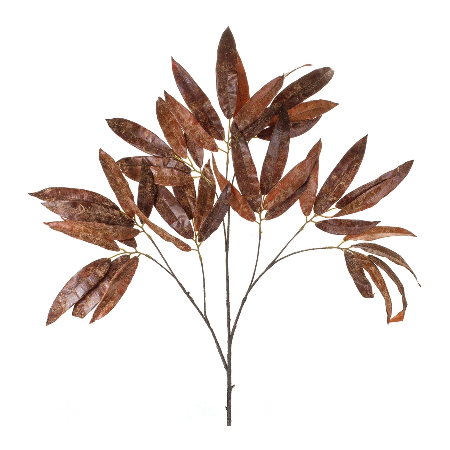 Brown Leaf Stem