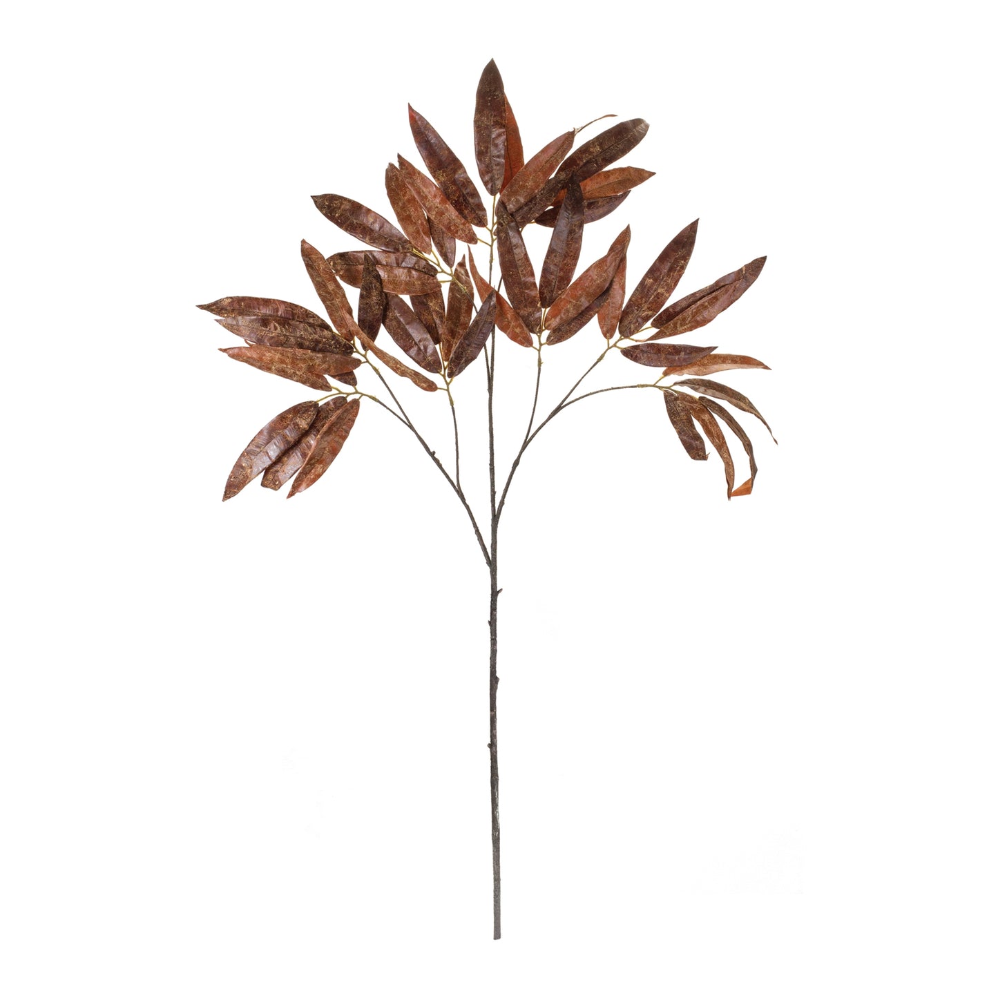 Brown Leaf Stem