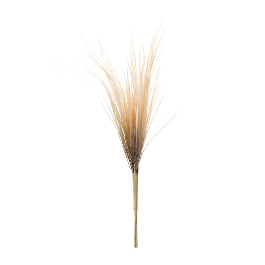 Pampas Plume Bundle