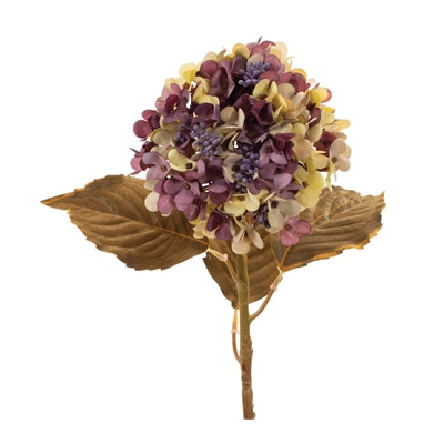 Plum Hydrangea Stem