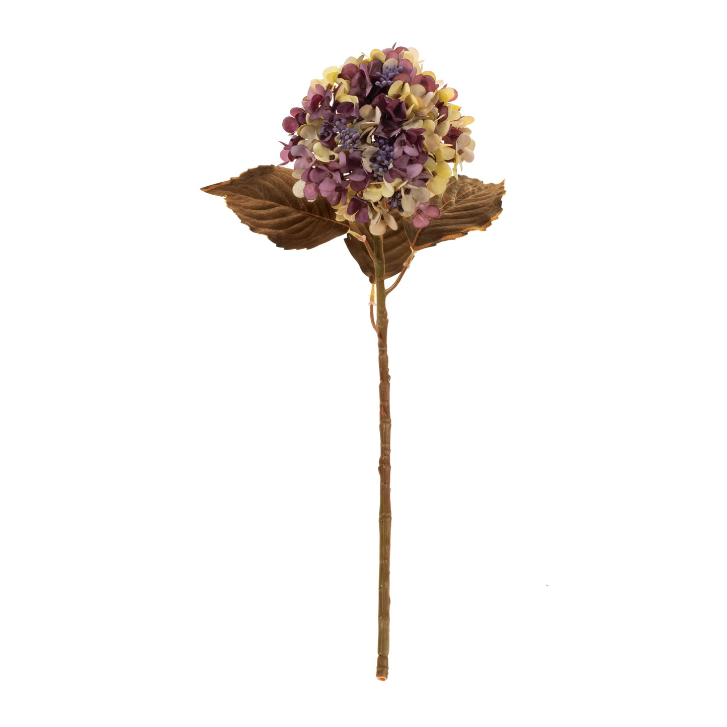 Plum Hydrangea Stem