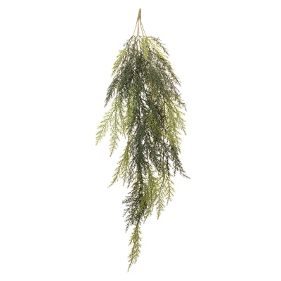 Cedar Pine Hanging Vine