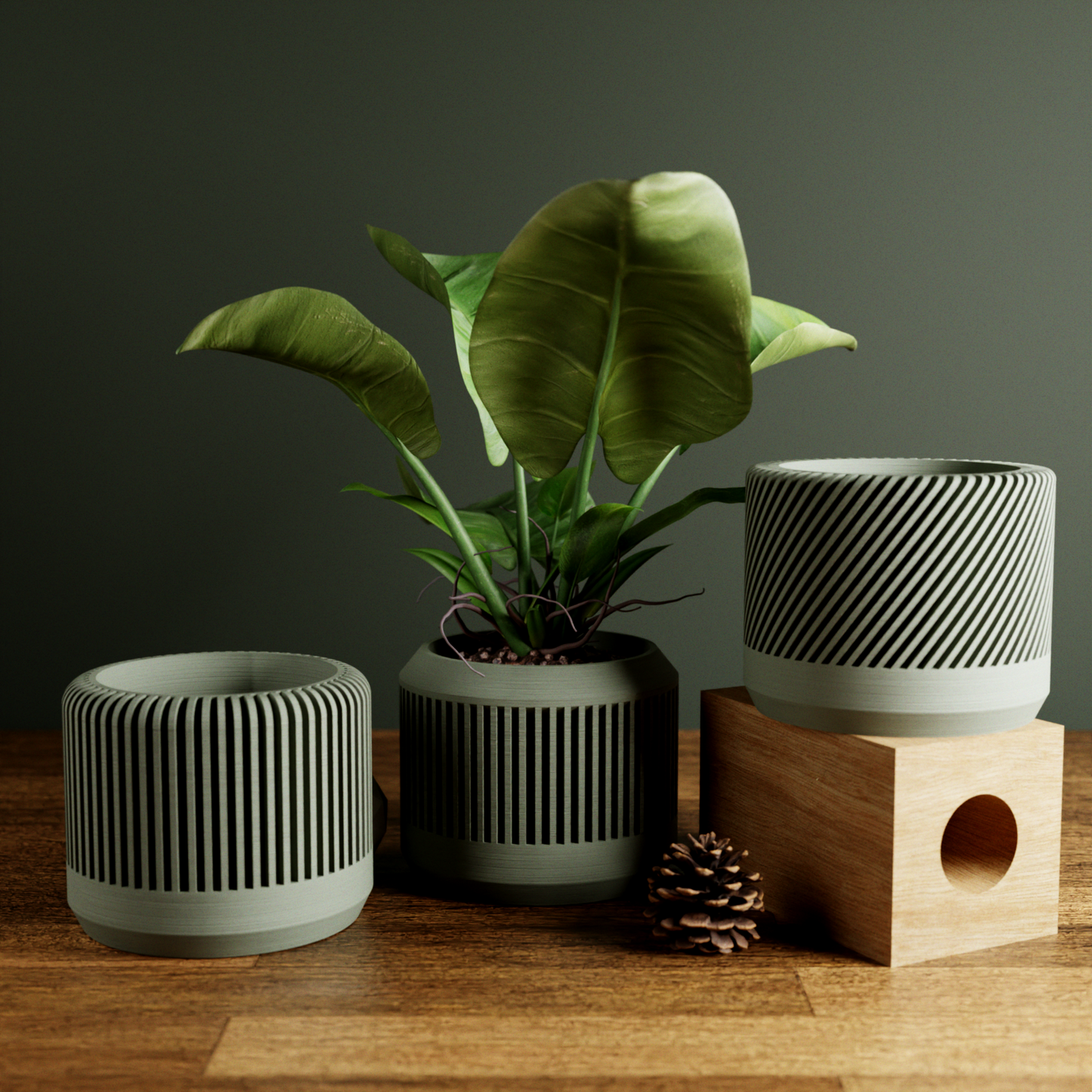 BAMBOO Planter Set (ONLINE EXCLUSIVE)