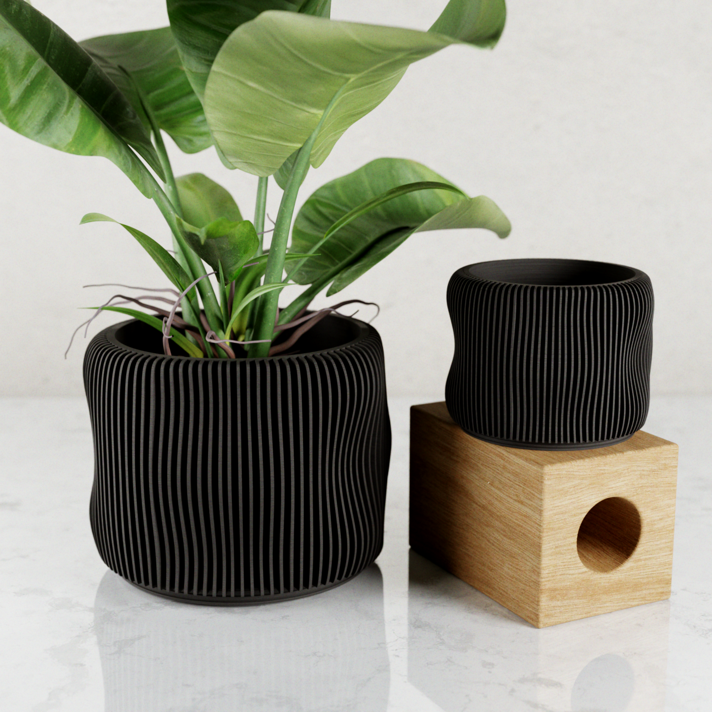 BUBBLY Planter (ONLINE EXCLUSIVE)
