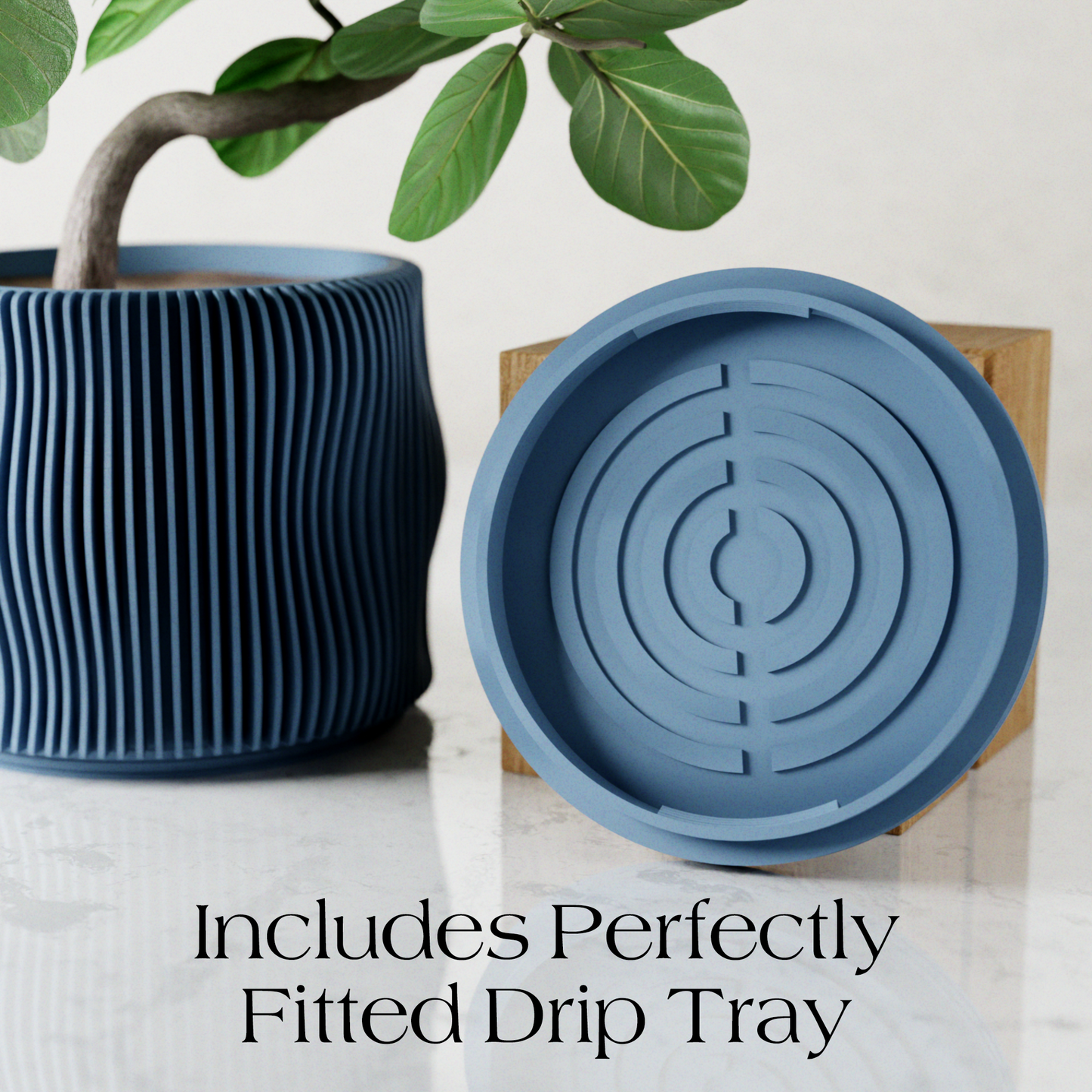 BUBBLY Planter (ONLINE EXCLUSIVE)