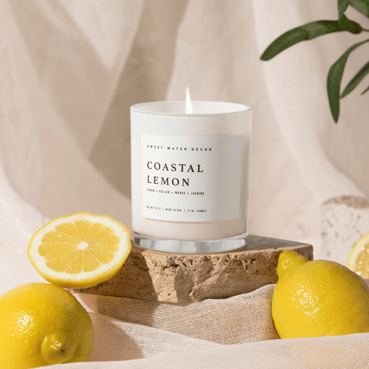 Coastal Lemon Soy Candle (ONLINE EXCLUSIVE)