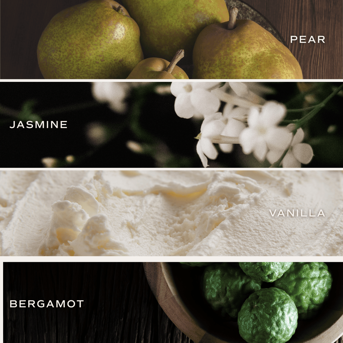 Cashmere and Vanilla Soy Candle(ONLINE EXCLUSIVE)