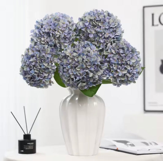 Blue Hydrangea Stem