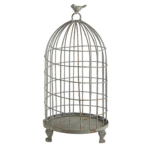 Metal Bird Cage