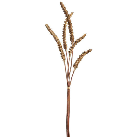 Brown Grain Stem Bundle