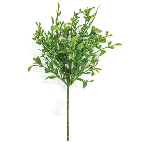 Boxwood Pick (ONLINE EXCLUSIVE)