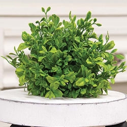 Boxwood Orb (ONLINE EXCLUSIVE)
