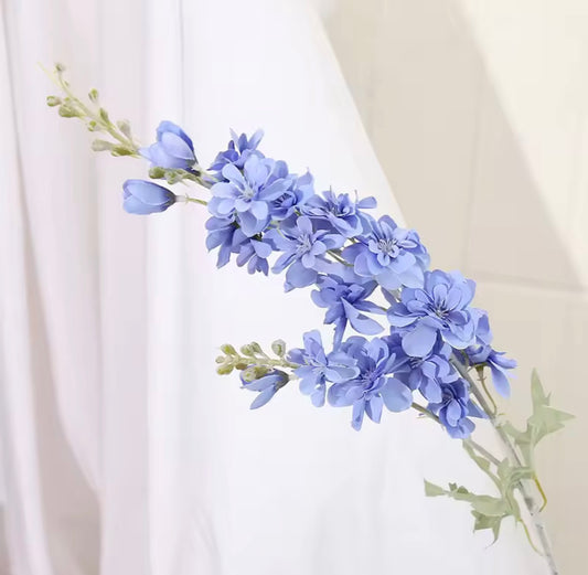 Delphinium Stems