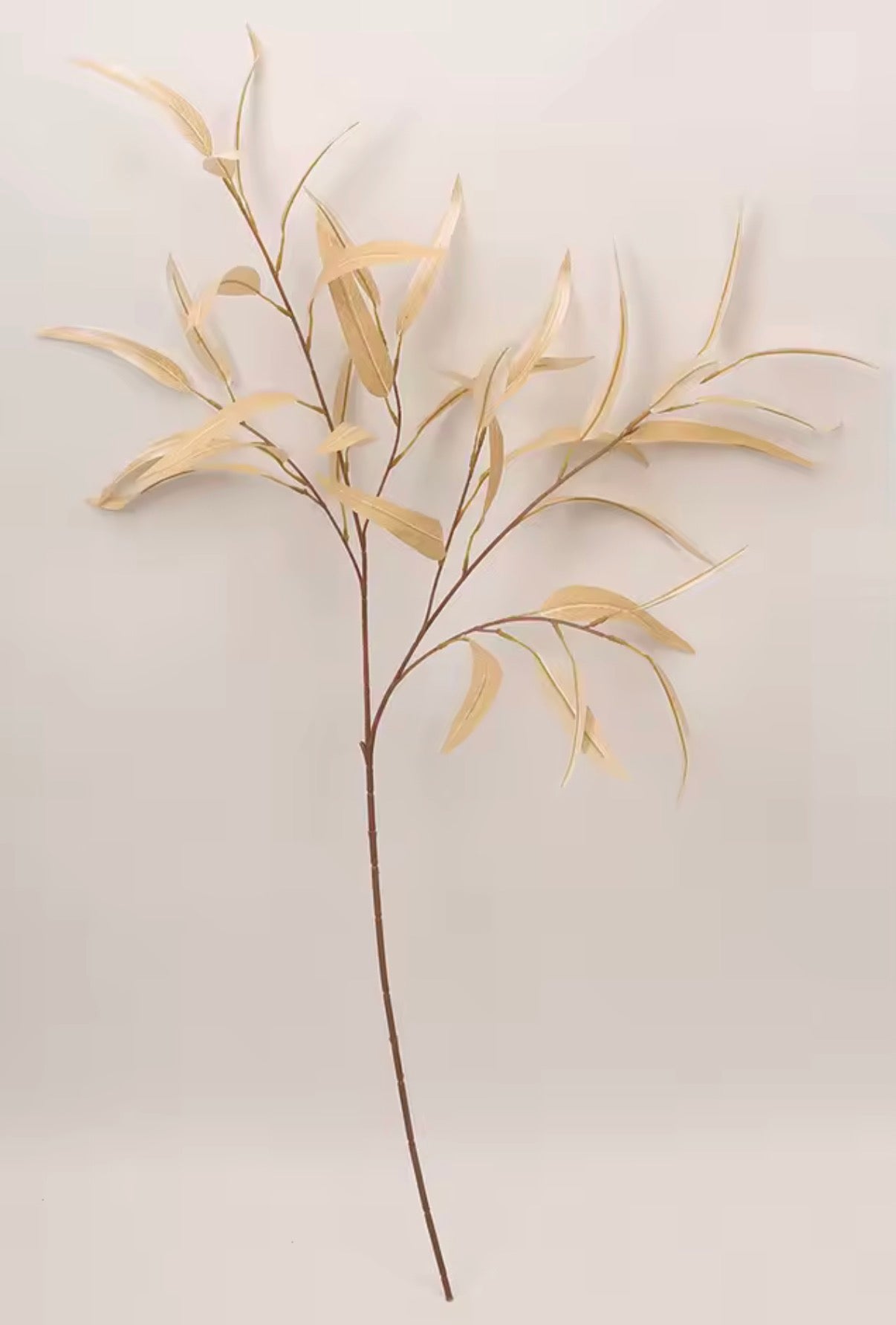 Fall Willow Eucalyptus Branch