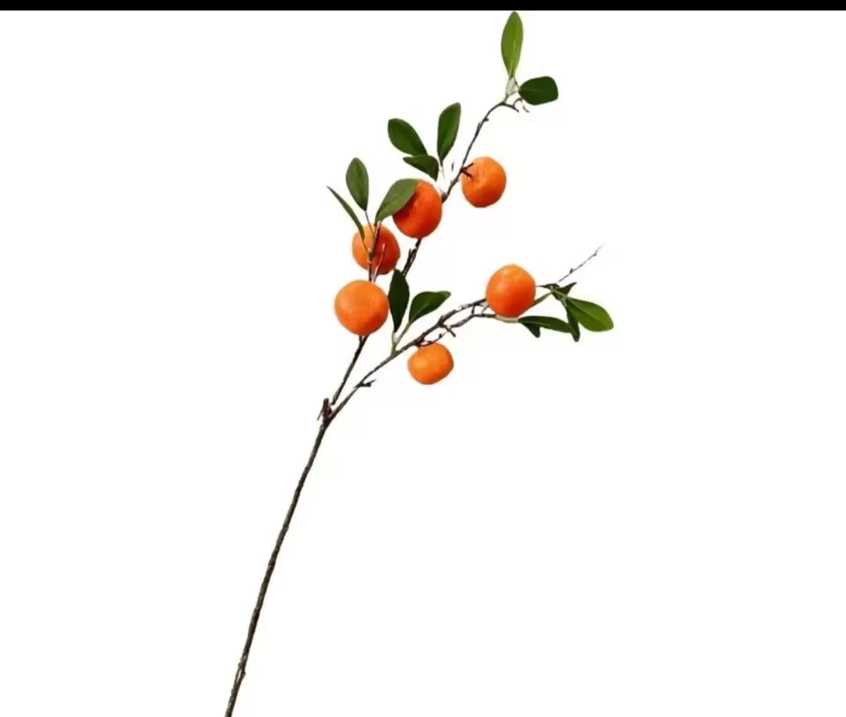 Orange stem