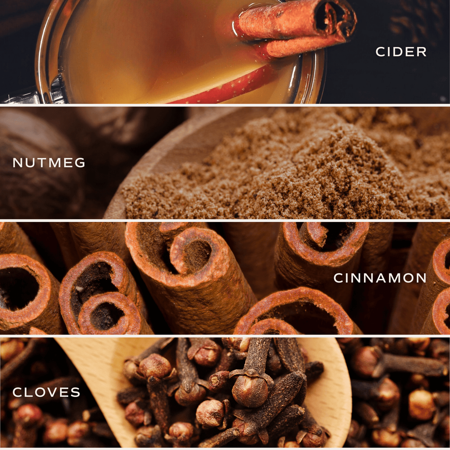 Hello Fall Amber Reed Diffuser (ONLINE EXCLUSIVE)