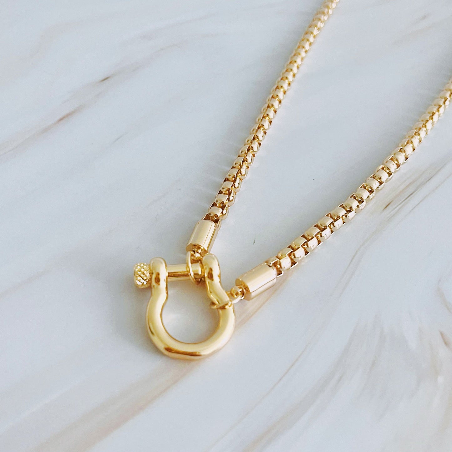 Horseshoe Clasp Necklace (ONLINE EXCLUSIVE)
