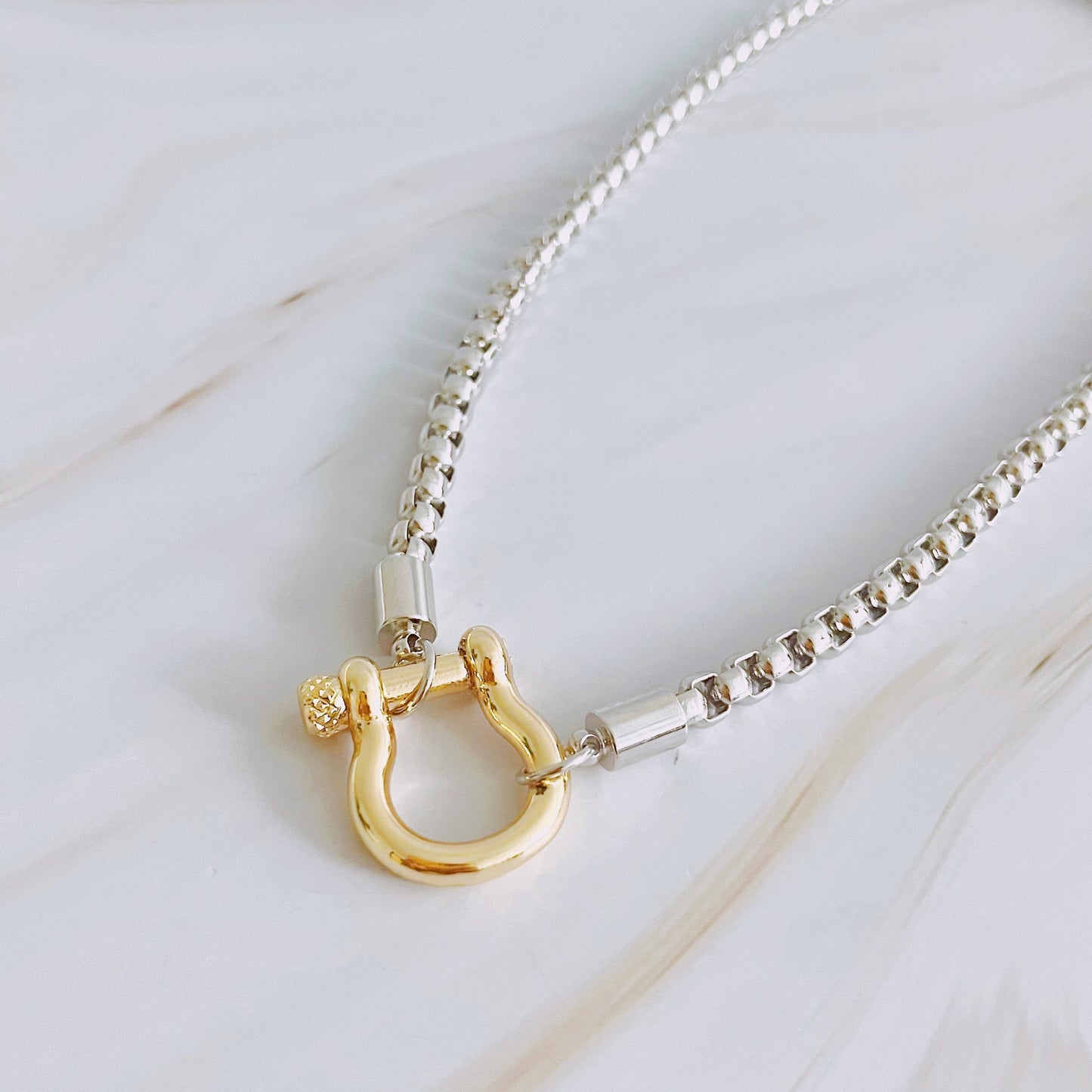 Horseshoe Clasp Necklace (ONLINE EXCLUSIVE)