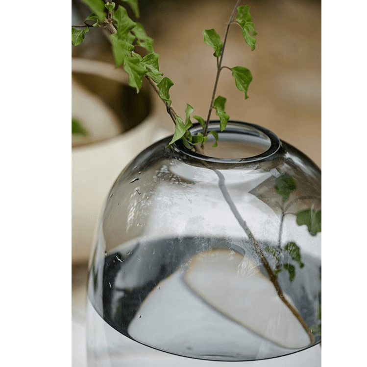 Modern Clear Glass Vase (ONLINE EXCLUSIVE)