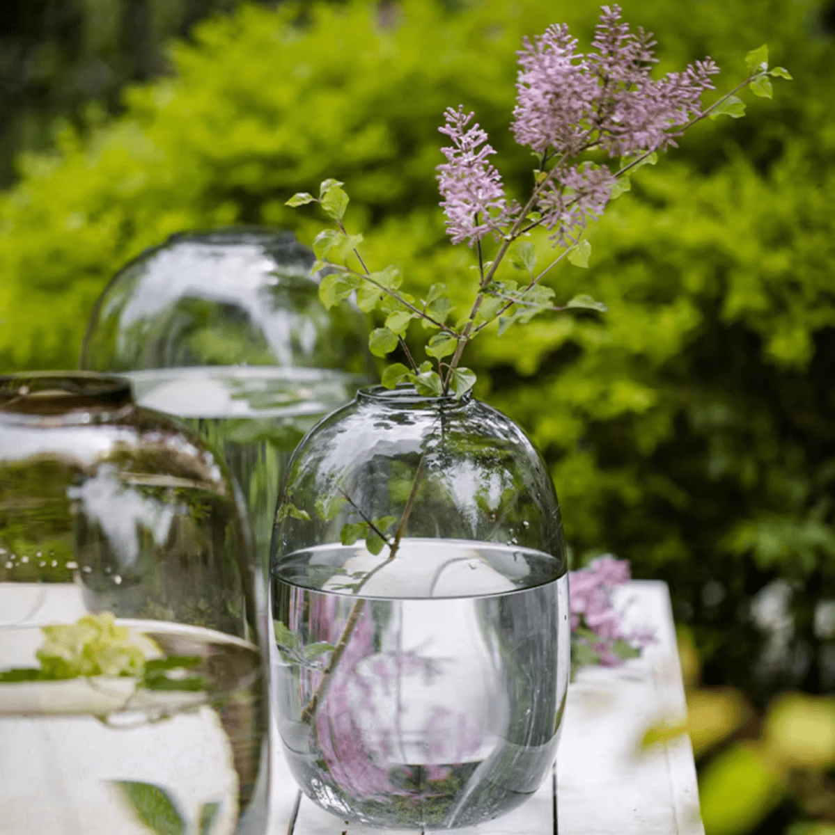 Modern Clear Glass Vase (ONLINE EXCLUSIVE)
