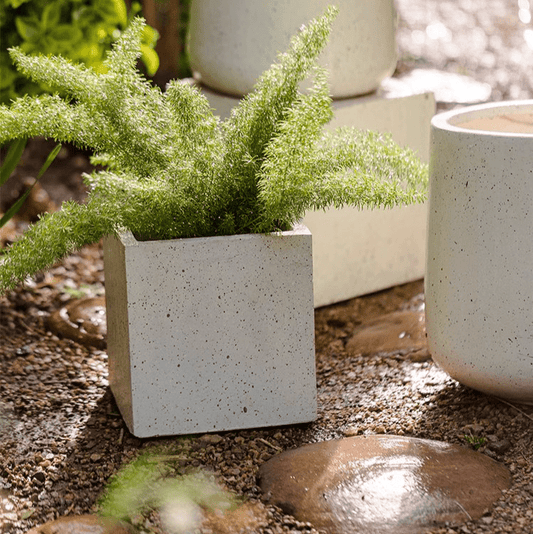 Modern White Square Planter (ONLINE EXCLUSIVE)