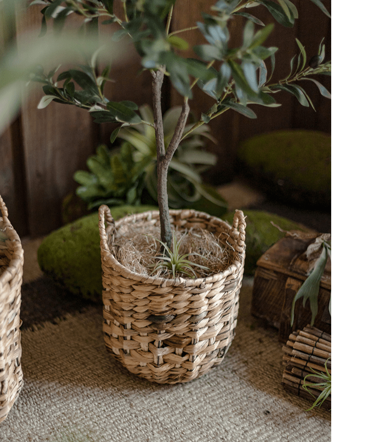 Natural Straw Round Basket (ONLINE EXCLUSIVE)