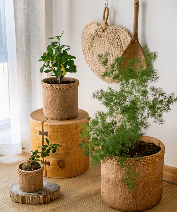 Straw Looking Concrete Planter (ONLINE EXCLUSIVE)