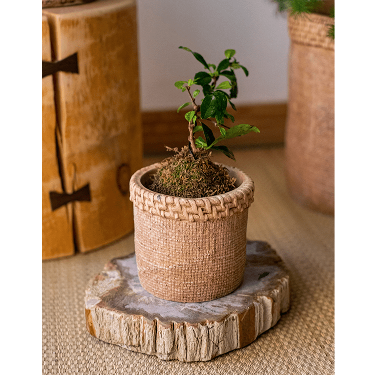 Straw Looking Concrete Planter (ONLINE EXCLUSIVE)