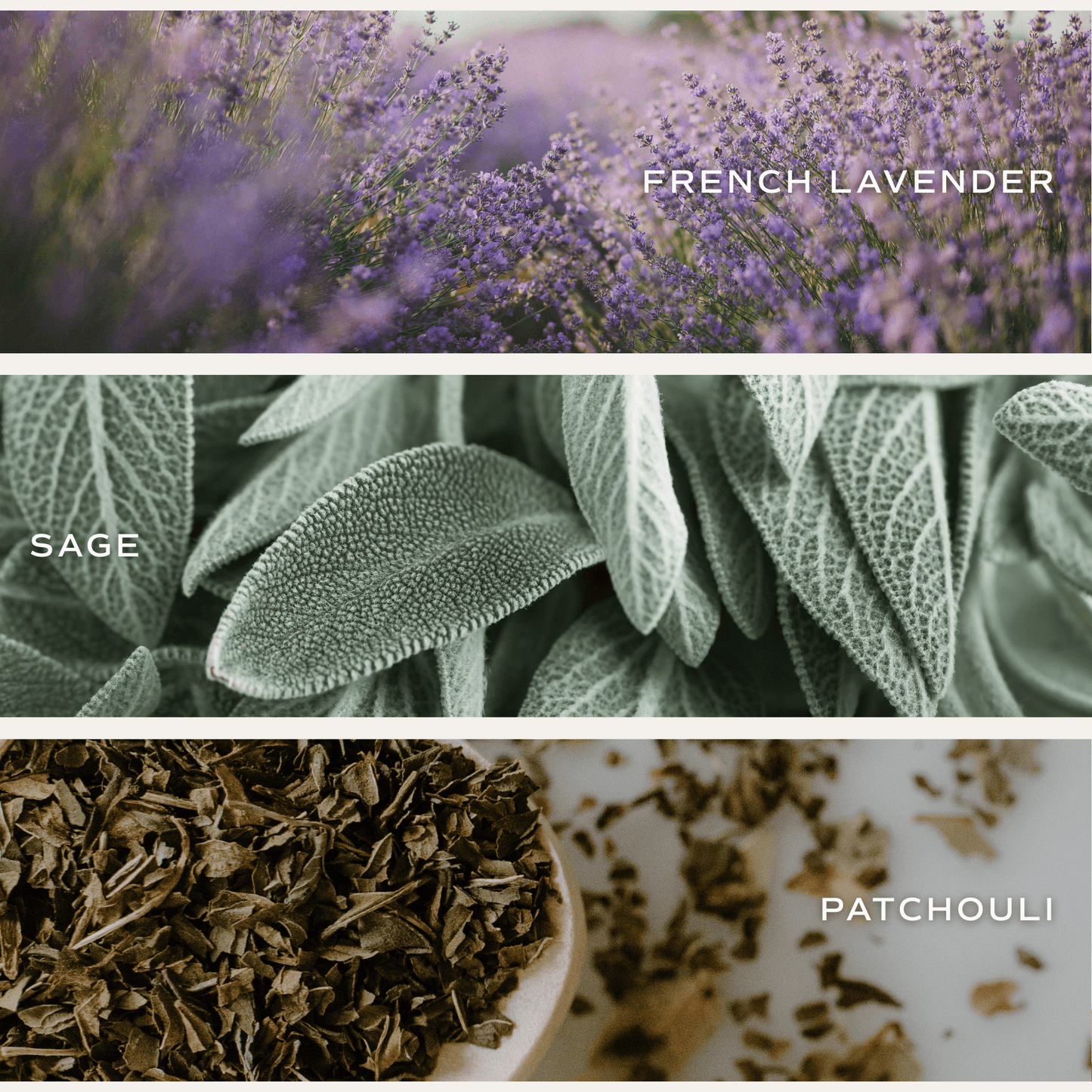 Lavender and Sage Soy Candle (ONLINE EXCLUSIVE)