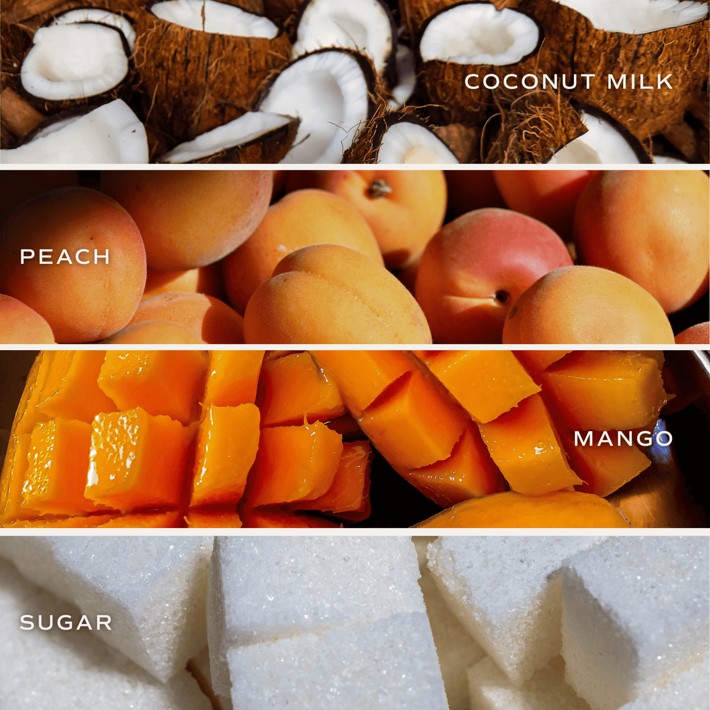 Mango and Coconut Soy (ONLINE EXCLUSIVE)