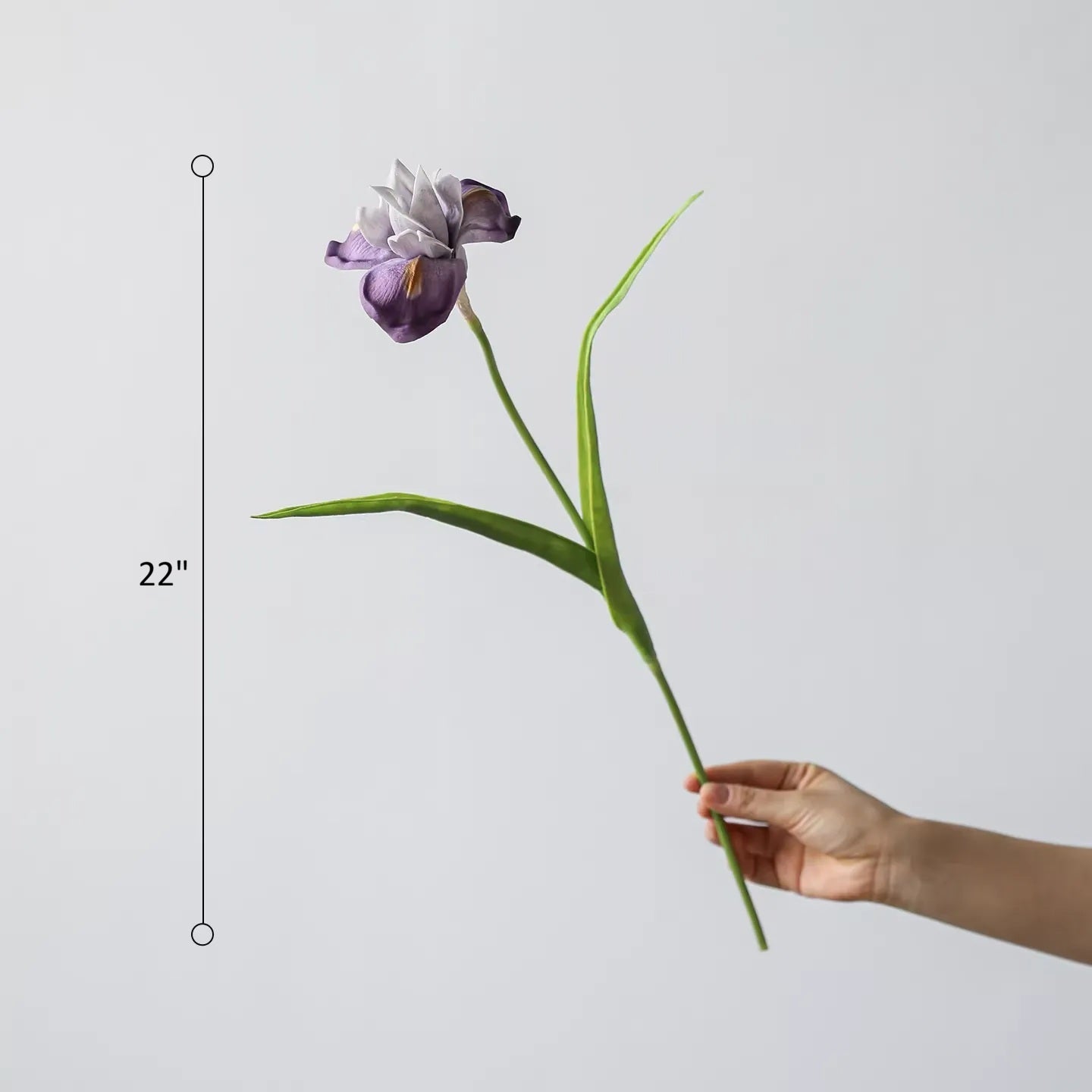 Purple Iris Stem (ONLINE EXCLUSIVE)