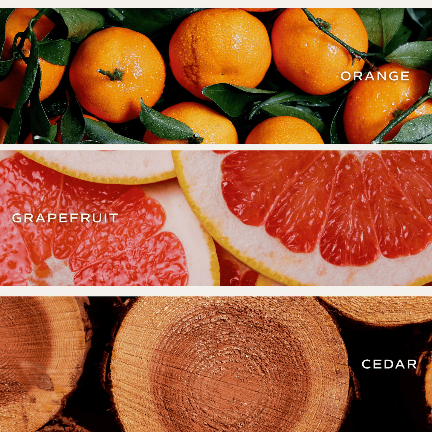 All Over Hearts Soy Candle (ONLINE EXCLUSIVE)