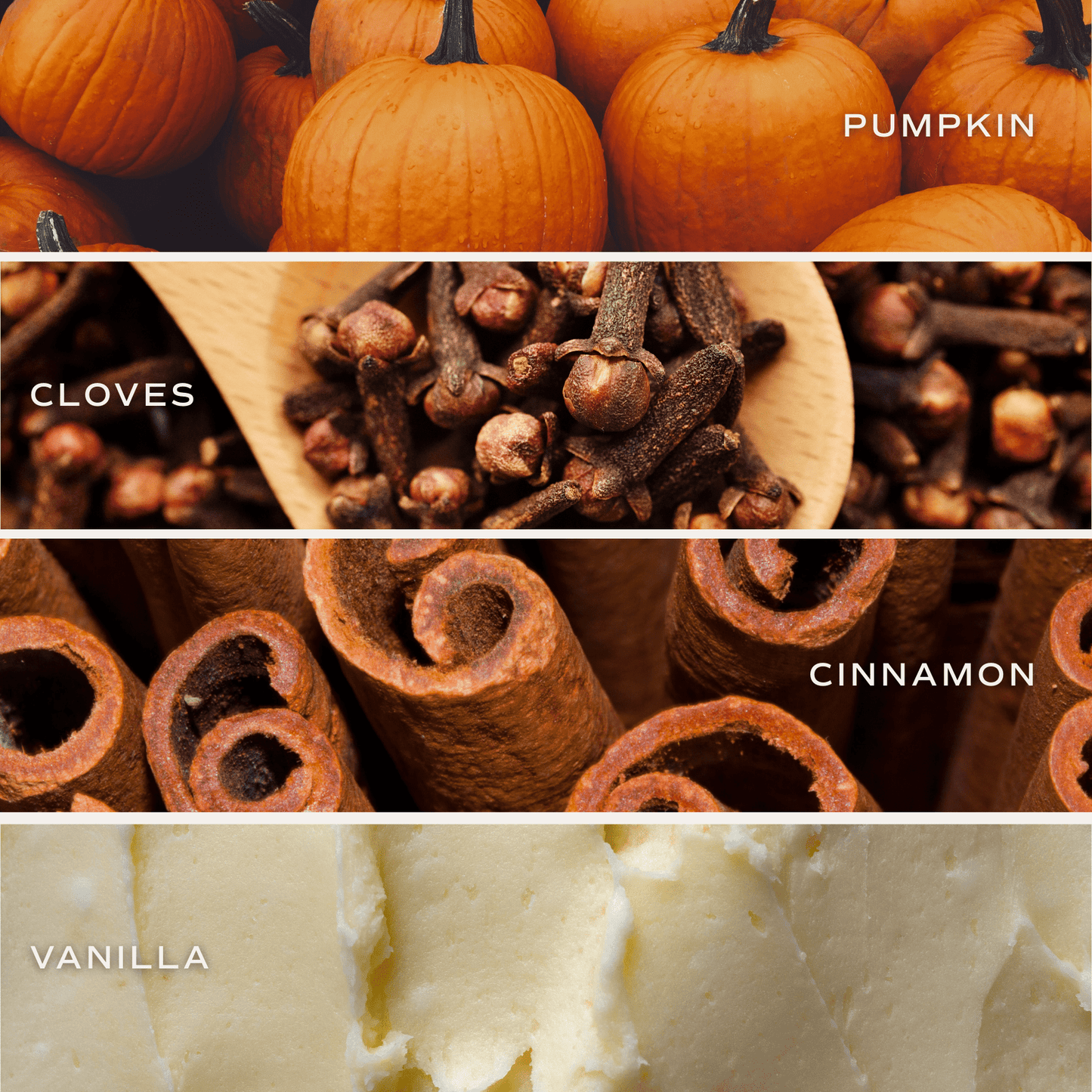 Pumpkin Spice Candle  (ONLINE EXCLUSIVE)