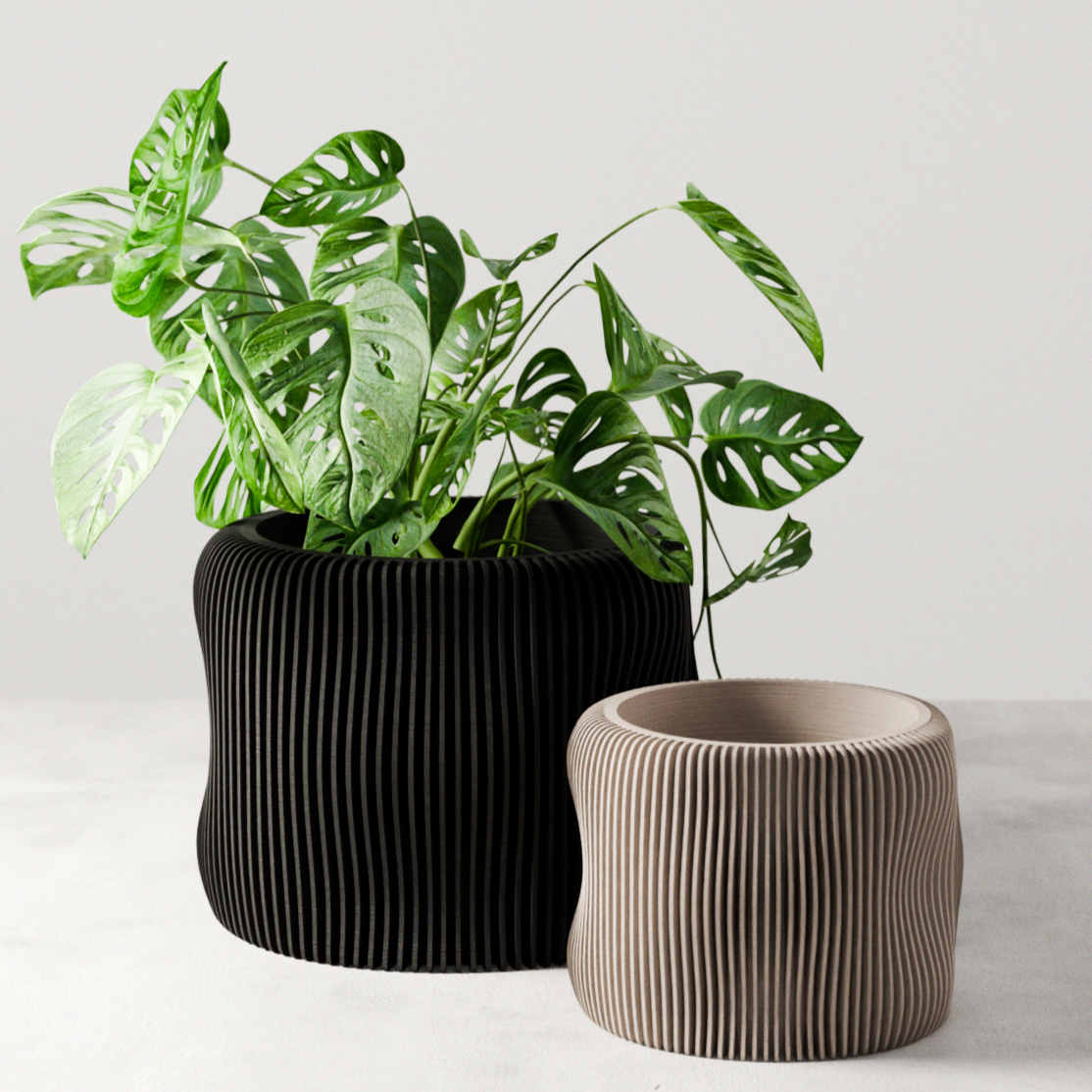 BUBBLY Planter (ONLINE EXCLUSIVE)