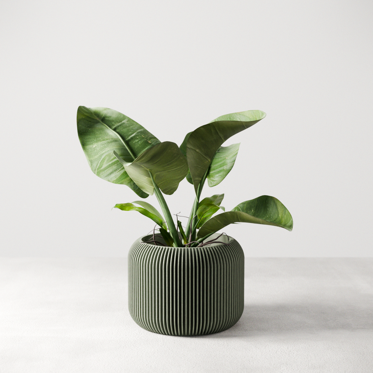 Orbit Planter (ONLINE EXCLUSIVE)