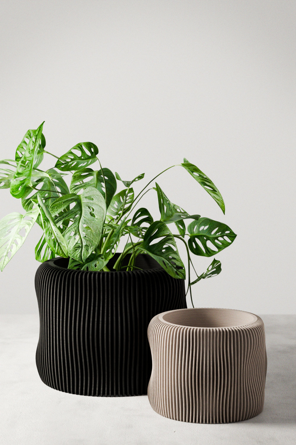 BUBBLY Planter (ONLINE EXCLUSIVE)