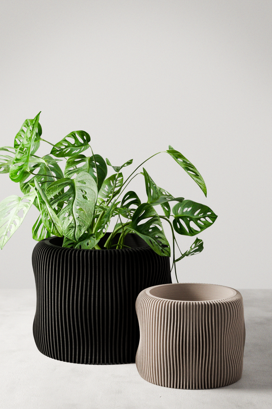 BUBBLY Planter (ONLINE EXCLUSIVE)