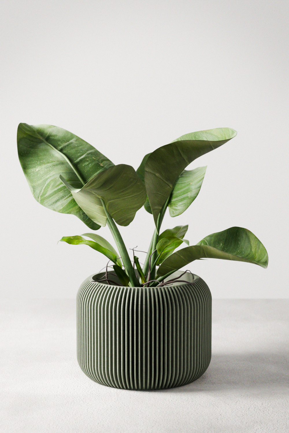 Orbit Planter (ONLINE EXCLUSIVE)