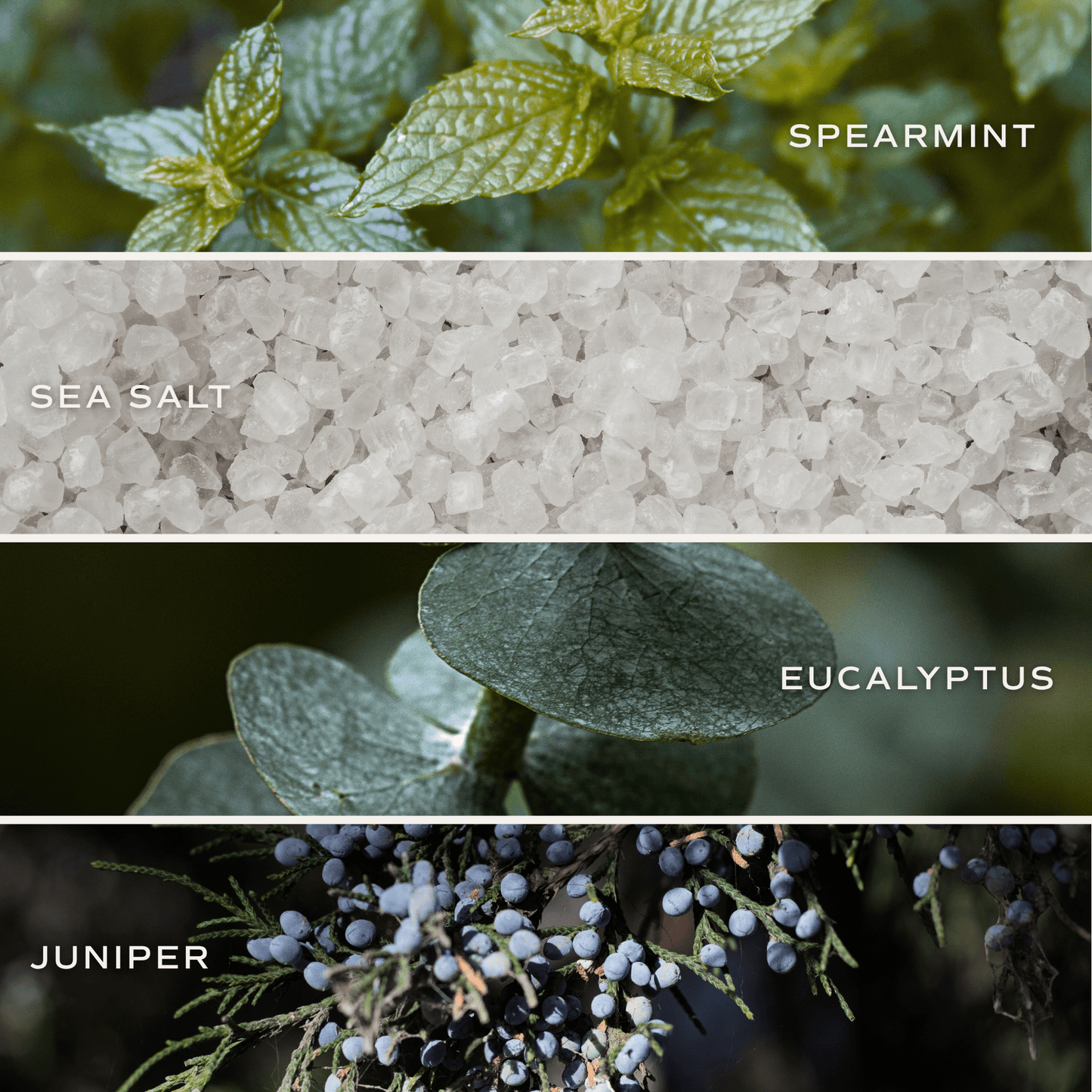 Bath Bomb - Restore and Renew White Eucalyptus (ONLINE EXCLUSIVE)