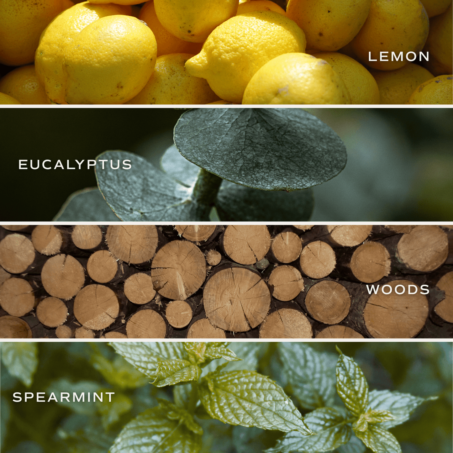 Bath Bomb - Stress Relief (ONLINE EXCLUSIVE)