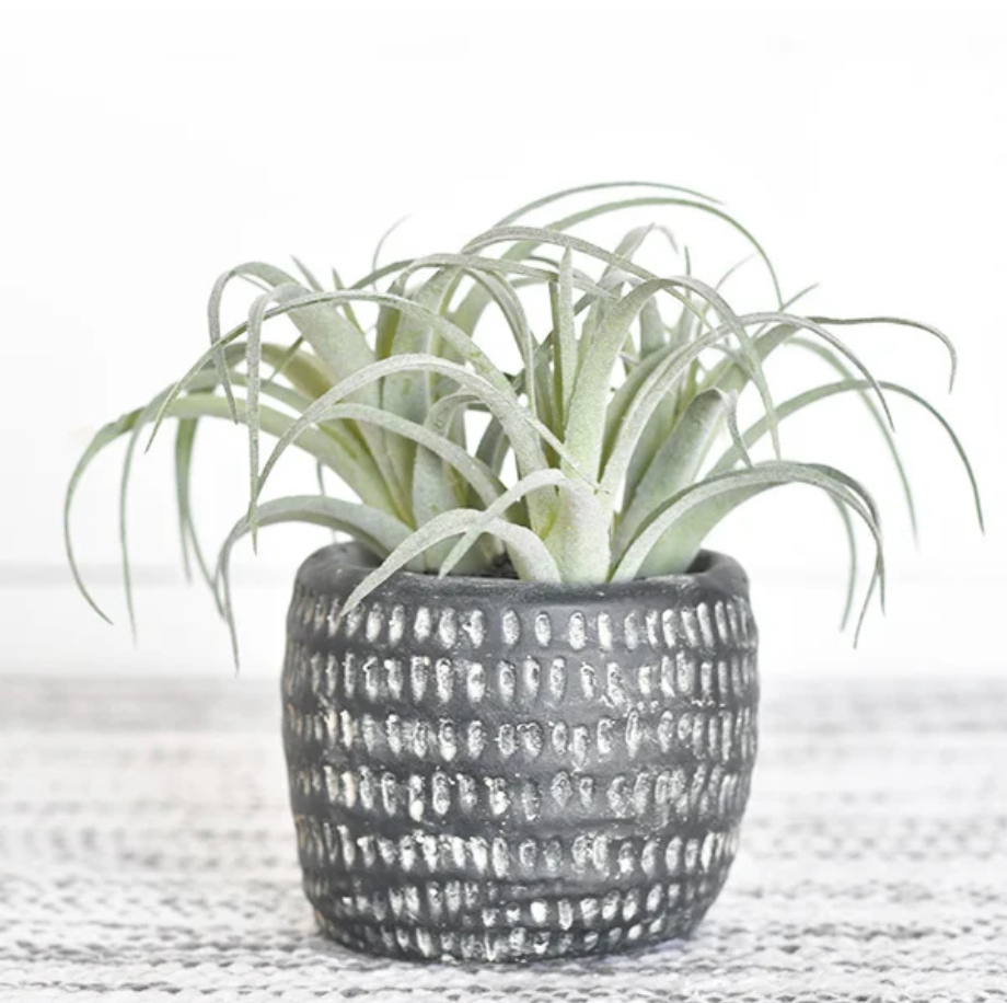 Black Potted Airplant