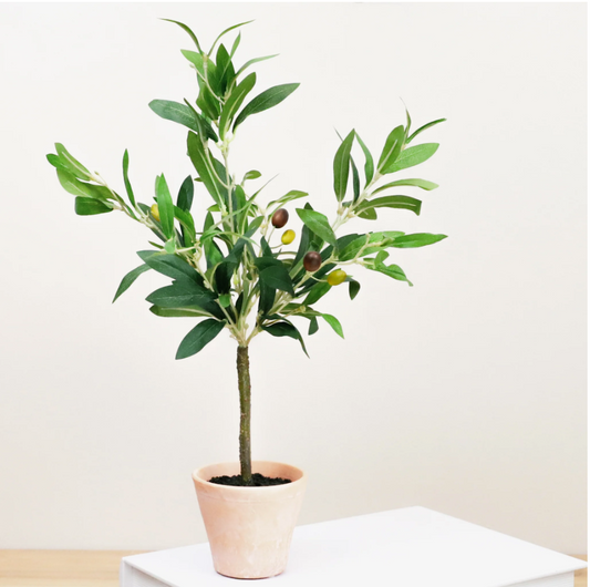 Olive Topiary Small