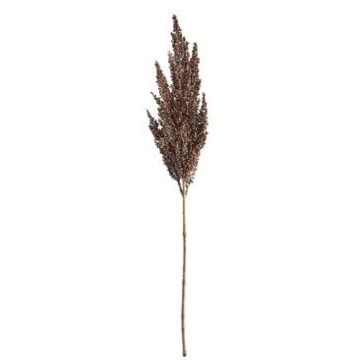 Millet Stem