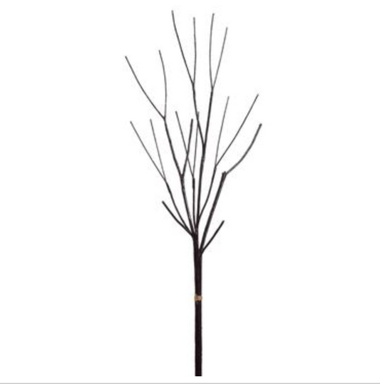 Black Twig Bundle