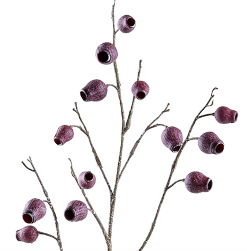 Burgundy Seed Pod