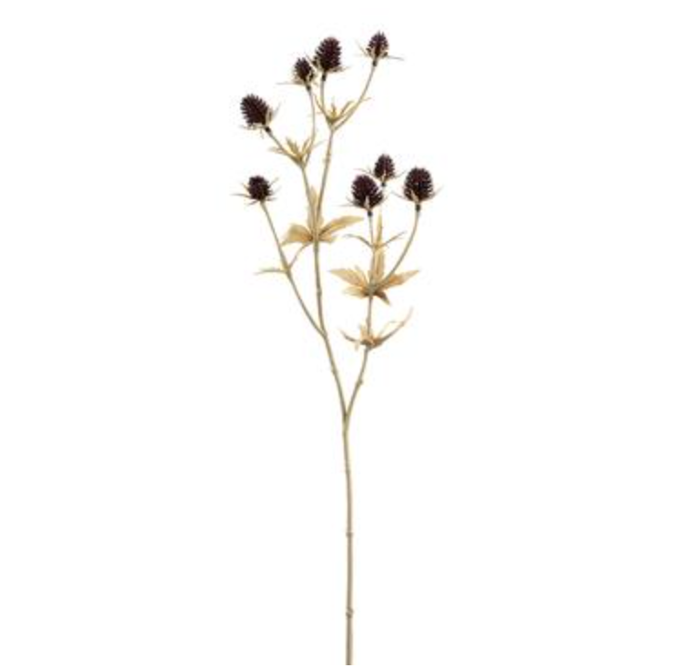 Burgundy Seed Pod Pick