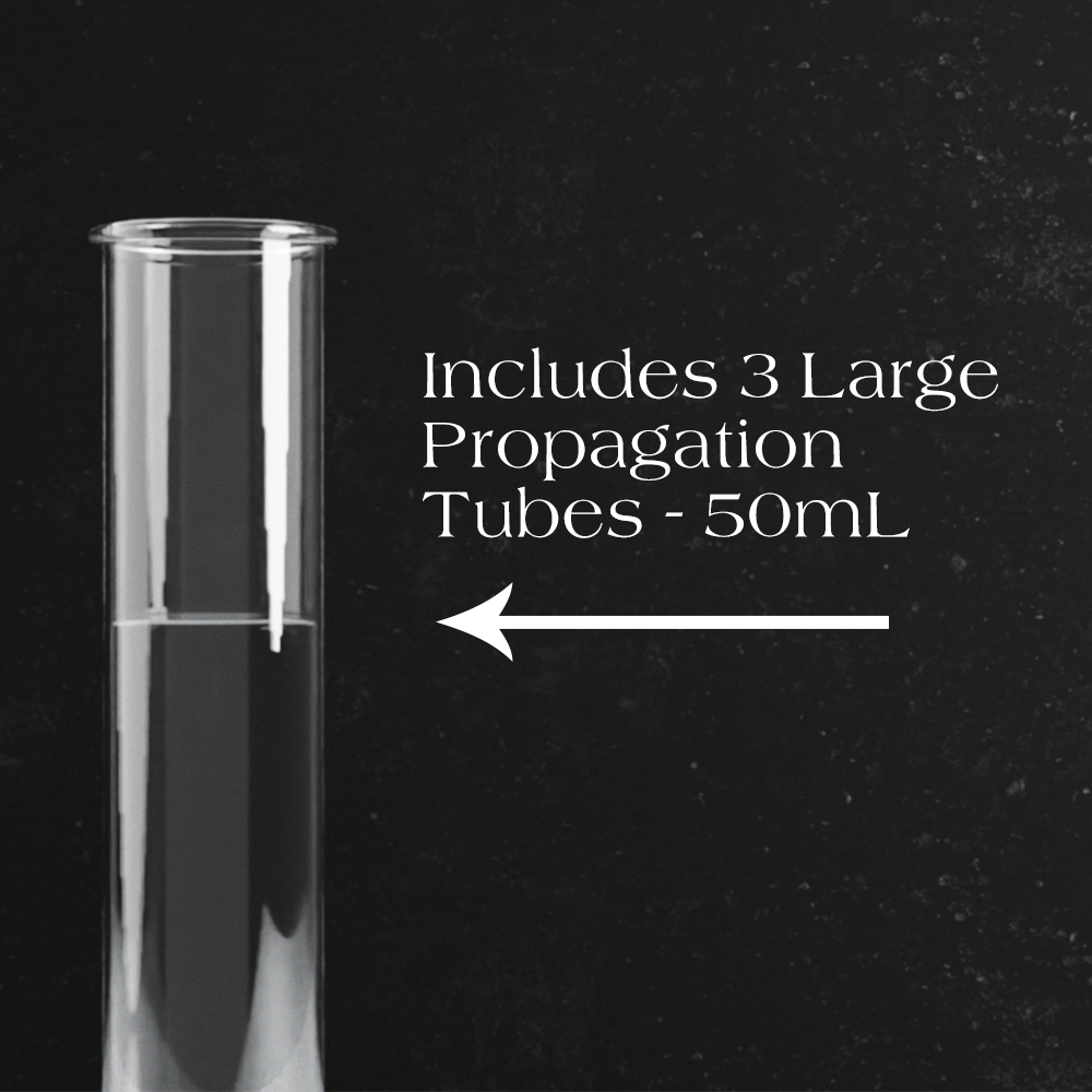 QUINTUPLE Propagation Stand (ONLINE EXCLUSIVE)